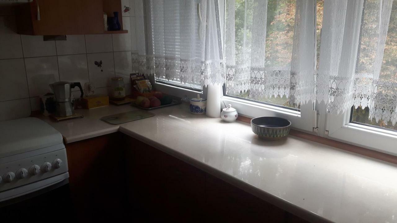 Motylek Leilighet Łódź Eksteriør bilde